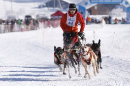Lenk 2013